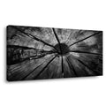 White Black and White Nature Wall Art Art Deco Painting Prints Canvas Artwork Living Room Family Bedroom Office Decor