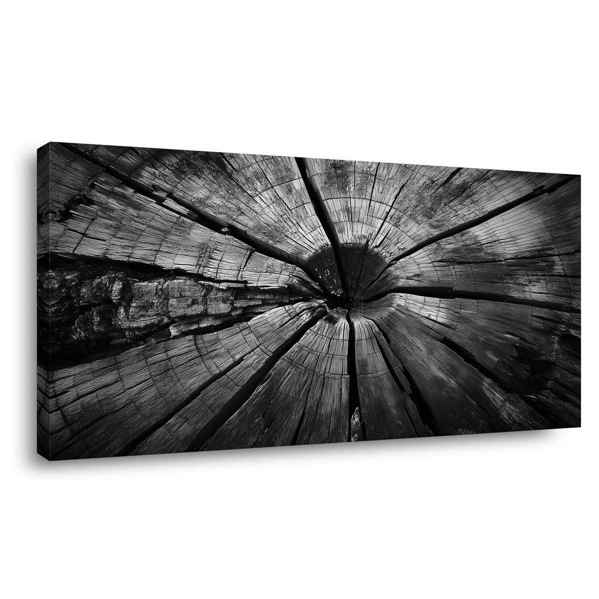 White Black and White Nature Wall Art Art Deco Painting Prints Canvas Artwork Living Room Family Bedroom Office Decor