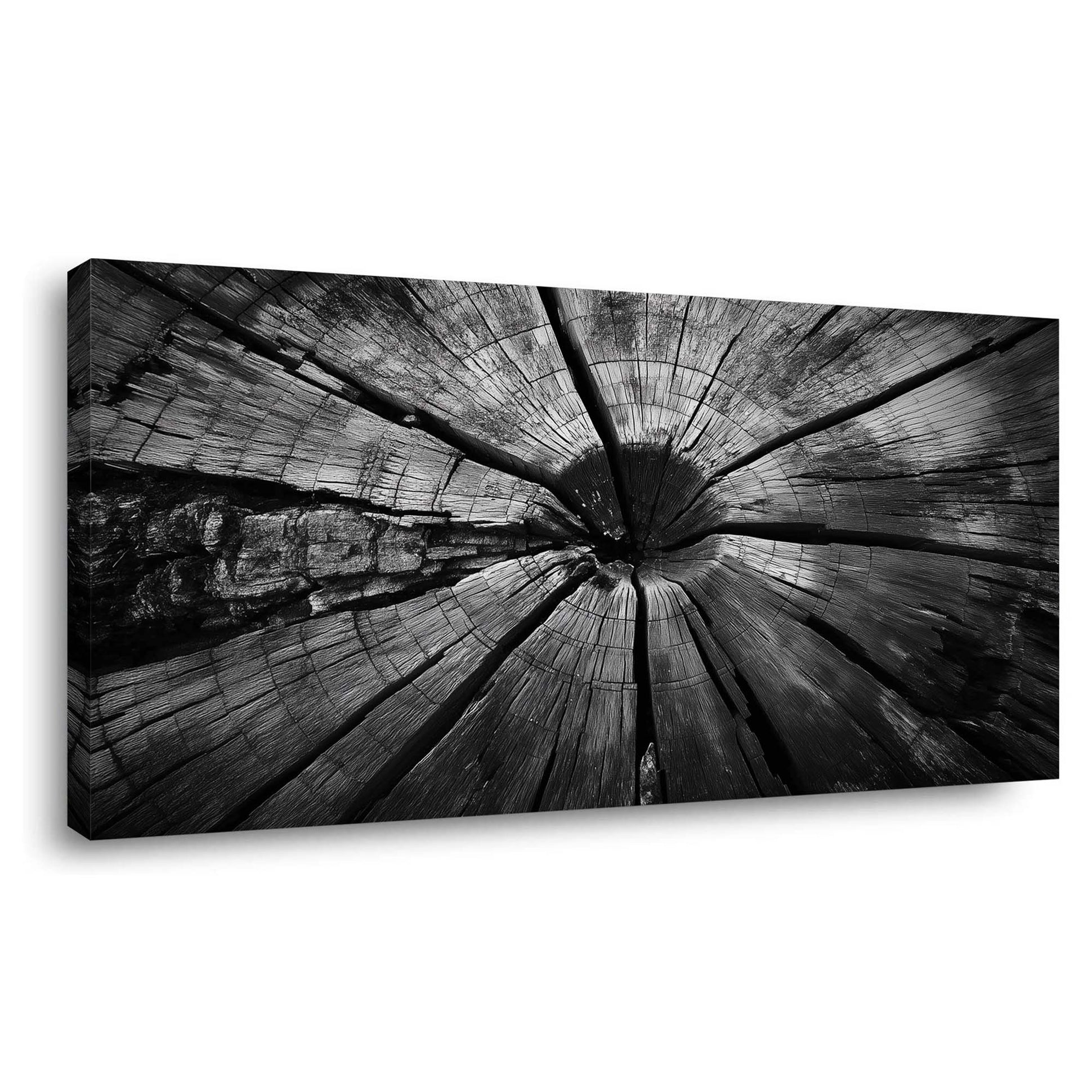 White Black and White Nature Wall Art Art Deco Painting Prints Canvas Artwork Living Room Family Bedroom Office Decor
