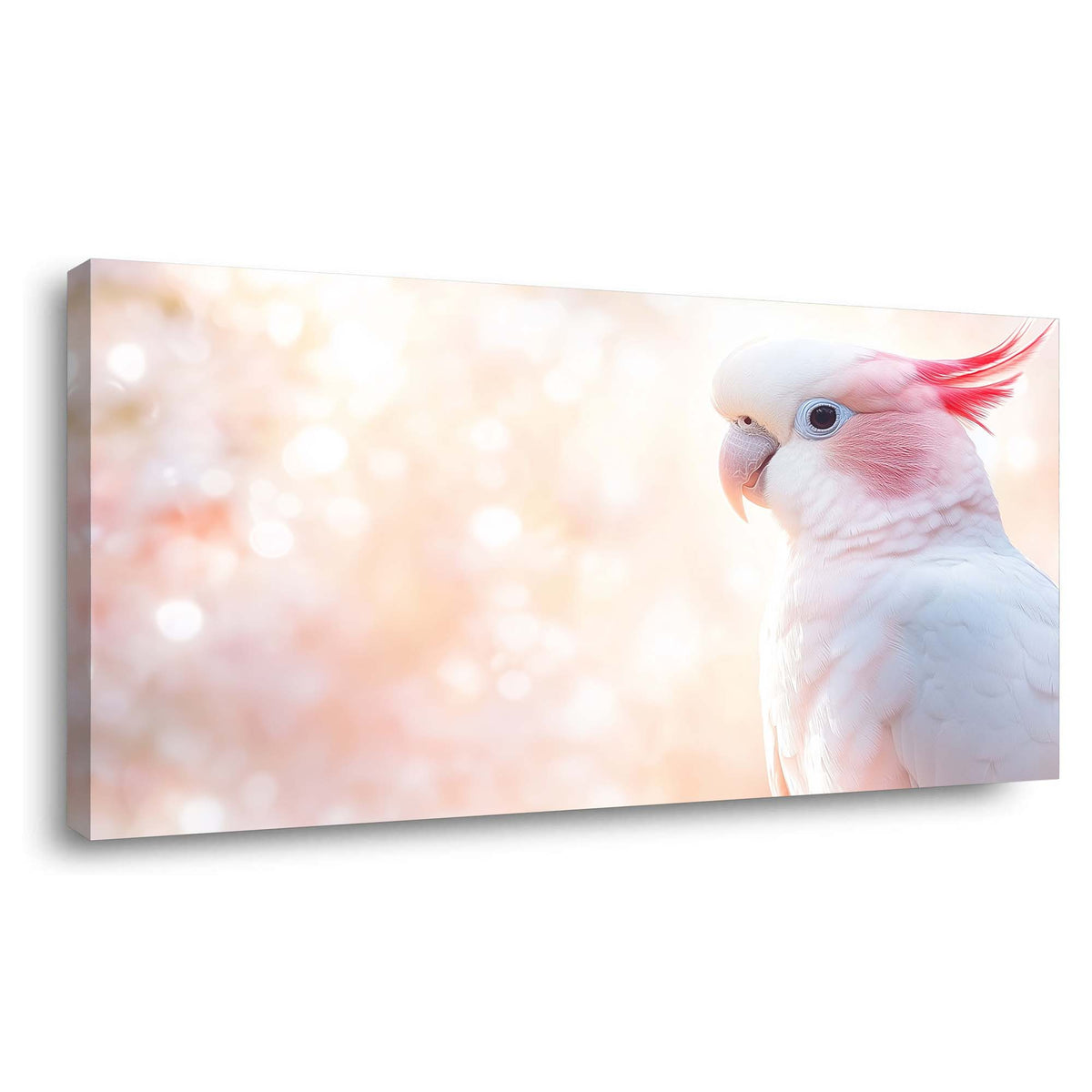 White Pretty Birds Wall Art Canvas Painting Prints Artwor Office Bedroom Living Room Decor