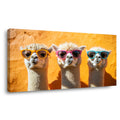 Pink Wildlife Animals Wall Art Canvas Painting Prints Artwor Office Bedroom Living Room Decor