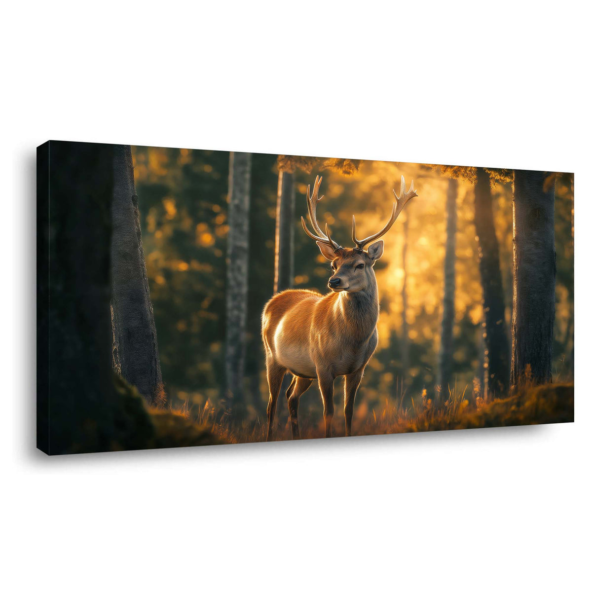 Khaki Wildlife Animals Wall Art Modern Canvas Painting Prints Artwork Office Hallway Bedroom Living Room Decor