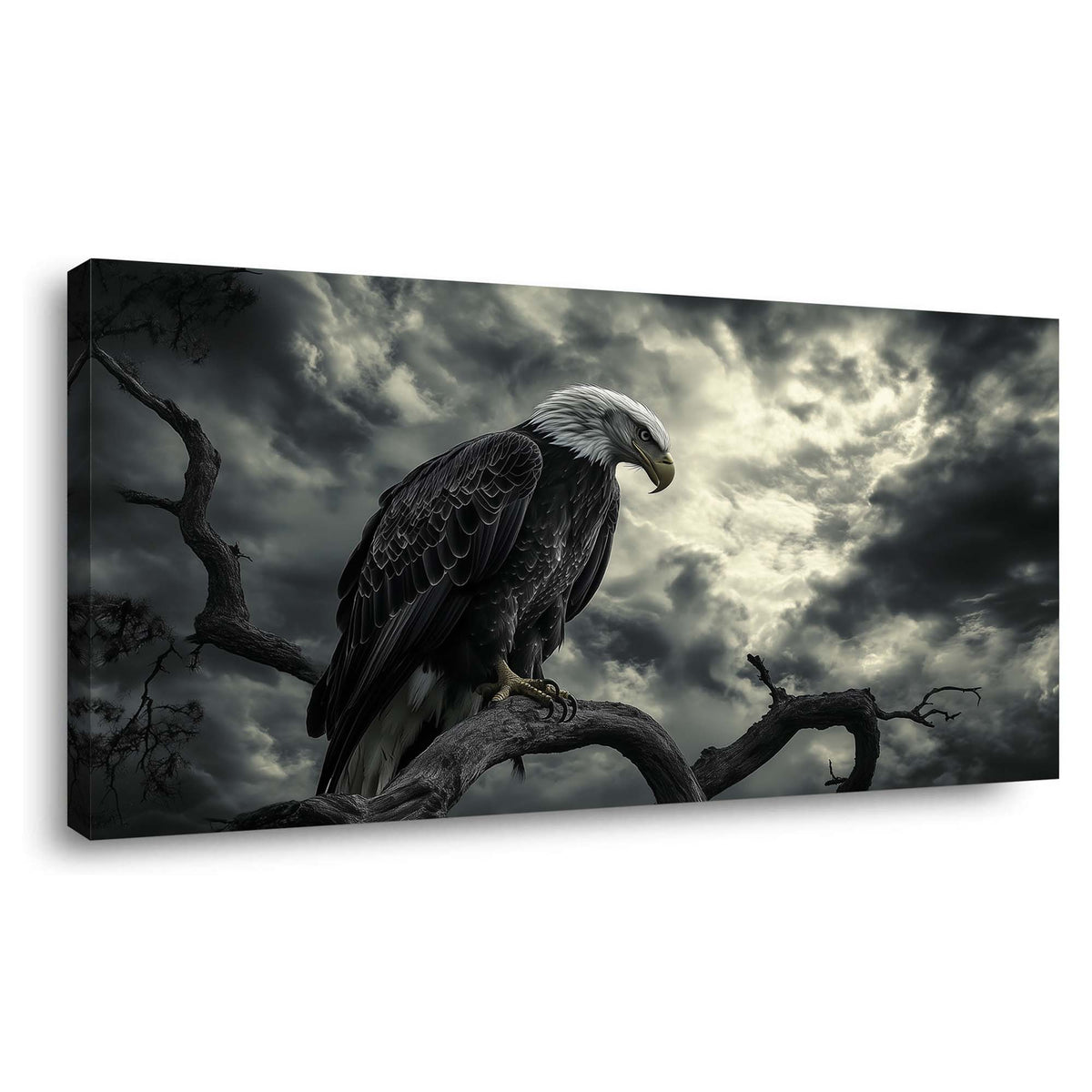 Navy Blue Wildlife Birds Wall Art Canvas Painting Prints Artwor Office Bedroom Living Room Decor